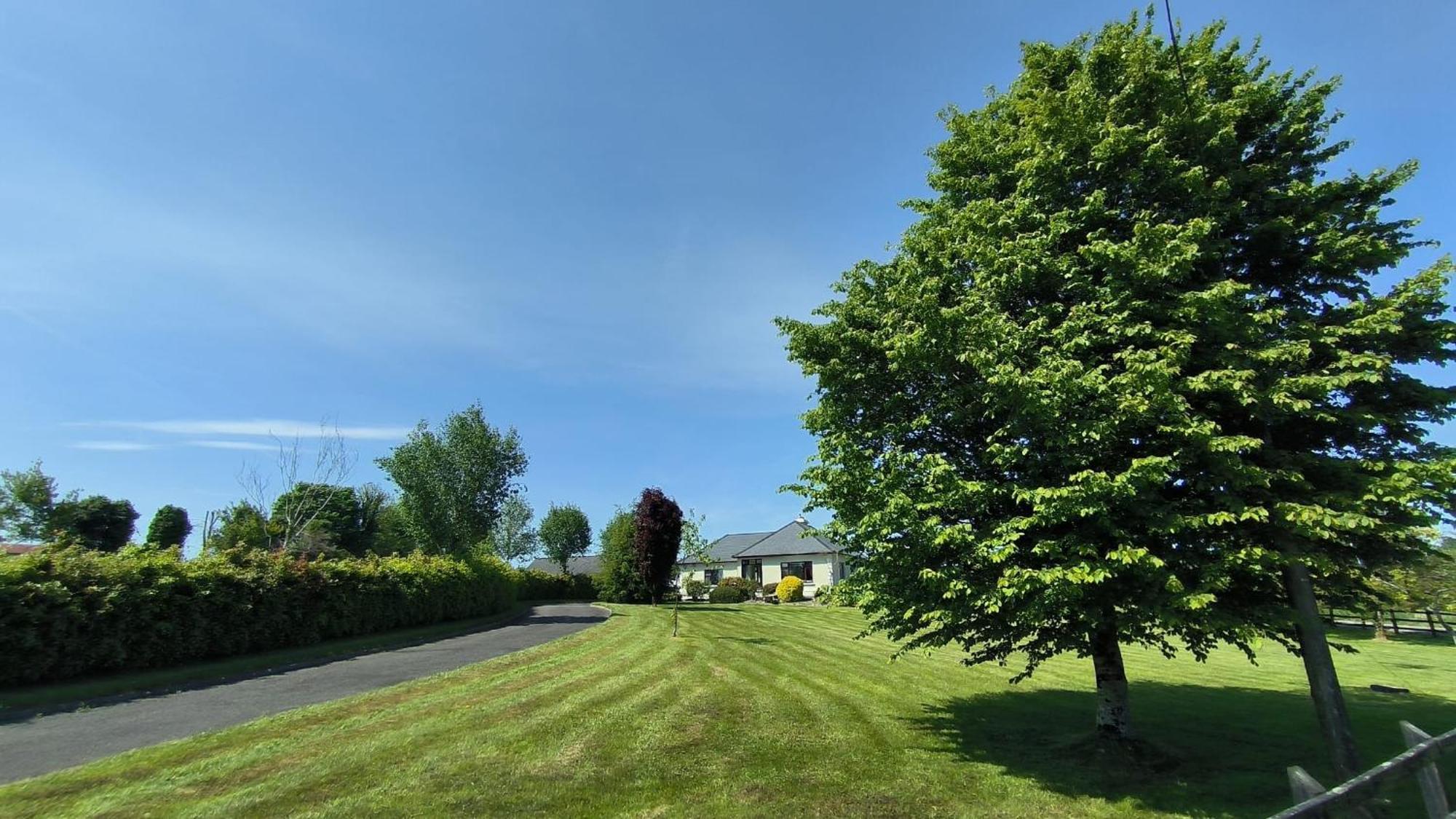 Swinford Country House エクステリア 写真