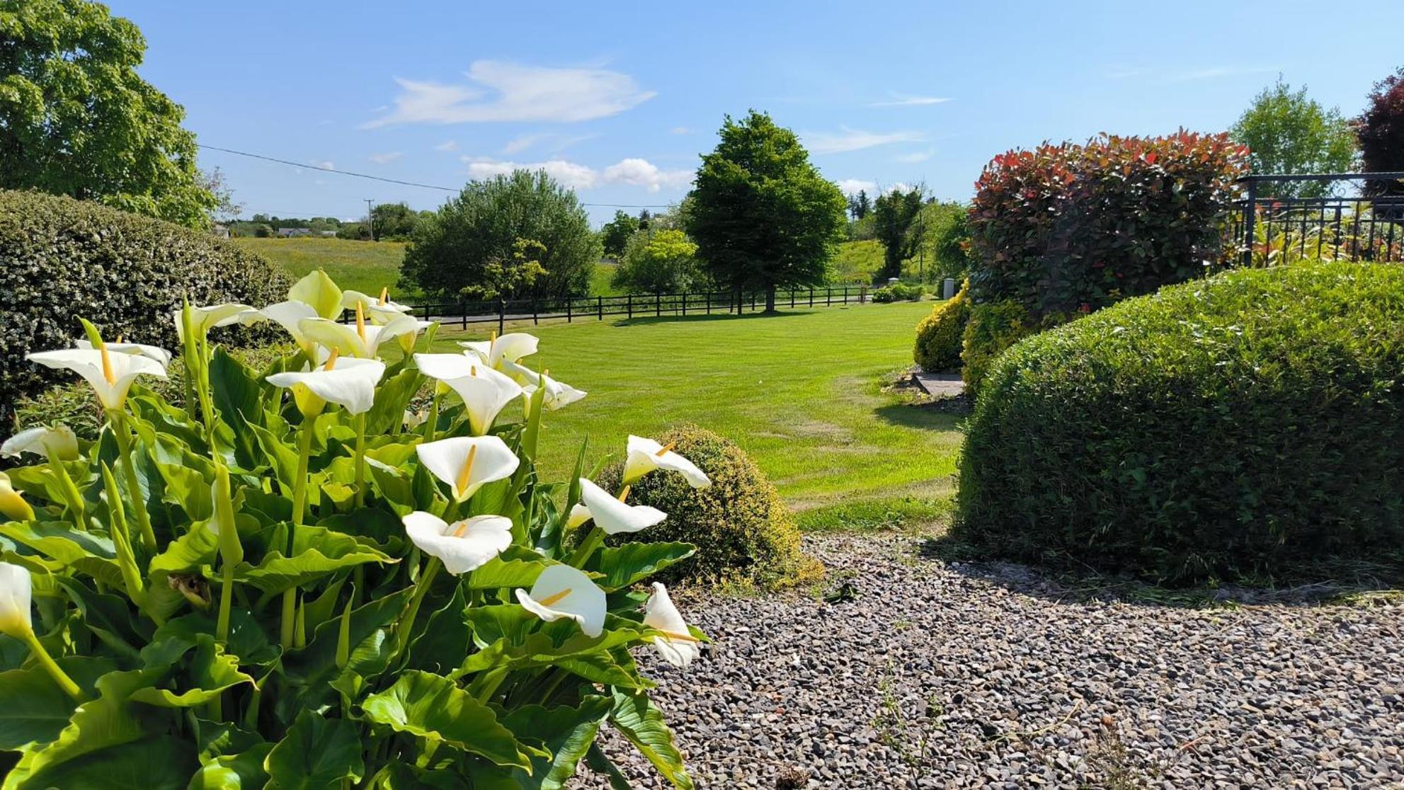 Swinford Country House エクステリア 写真