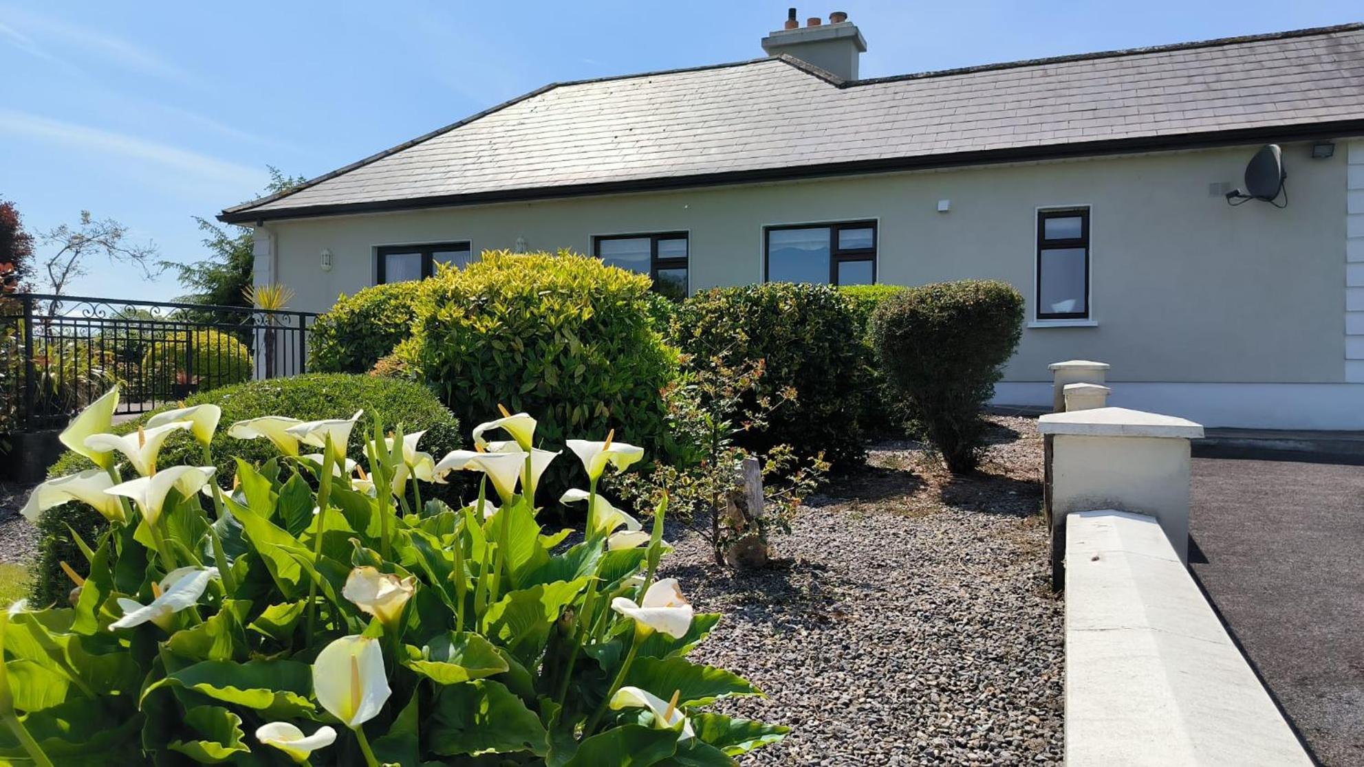 Swinford Country House エクステリア 写真